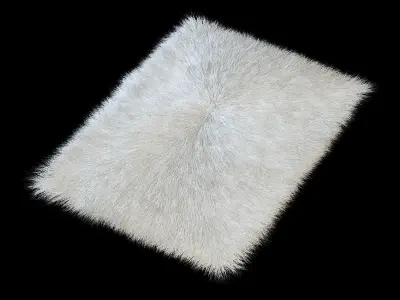 Carpet longe pile 3D model