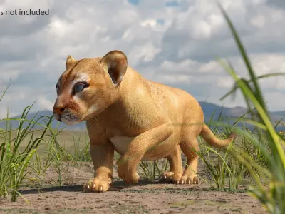  Puma Cub Rigged for Cinema 4D 