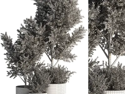 Indoor Plant Set 46 3D model