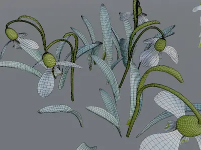 Spring flowers 3D model
