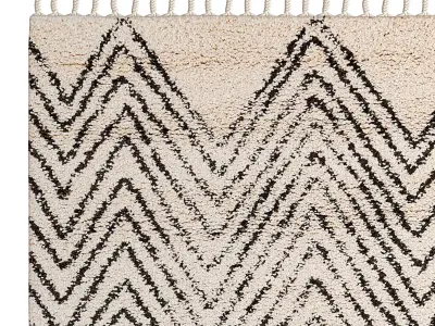 Chevron Shag Rug 3D model