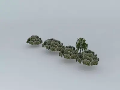 Trees on my street Free 3D model