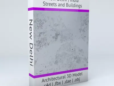 New Delhi Streets and Buildings 3D model
