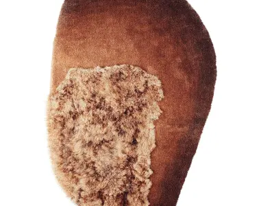 Rug The Mountain Heath 3D model