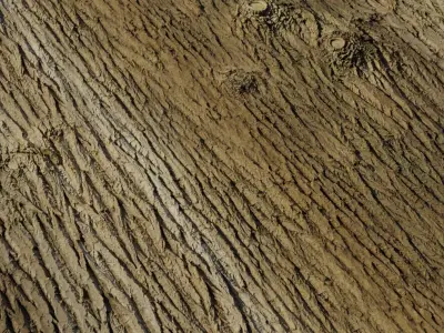 Deep Furrowed Tree Bark PBR Texture Texture