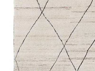 AANSHI WOOL RUG 3D model