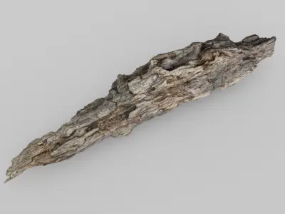 SCANNED BROKEN LOG Low-poly 3D model