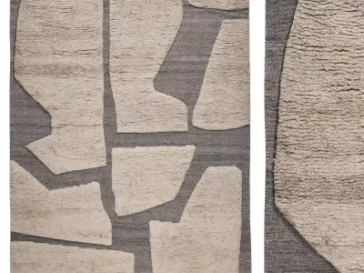 Fossil Ash RUG 3D model