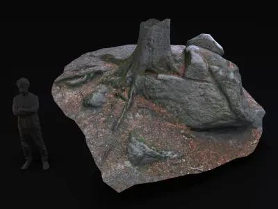 Beech forest ground - 4 o 6 - scan PBR Game ready Collection Low-poly 3D model