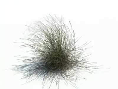 Green Tall Plant 3D model