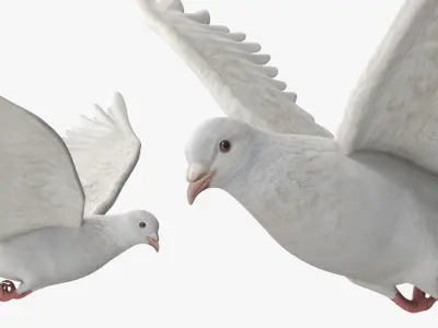  Lowpoly White Dove in Flight 