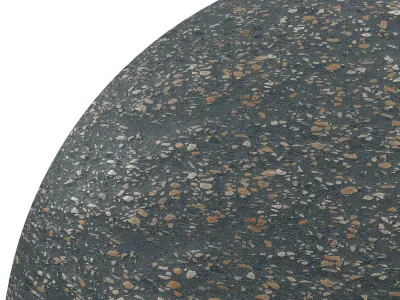 Terrazzo Multicolor Black Texture