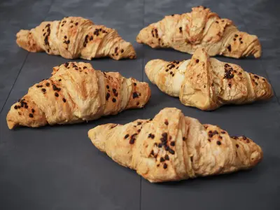 Croissant With Chocolate Chip 5 Models