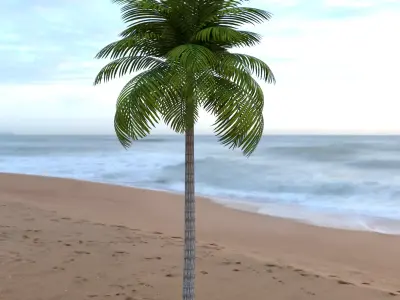 Palm Tree Low Poly Low-poly 3D model
