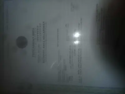 keren group of people floating on earth Free 3D model