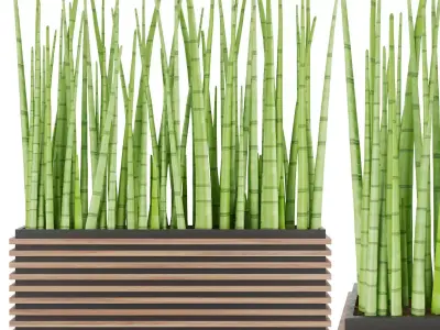 Collection plant vol 140 Free 3D model