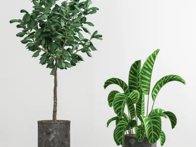 indoor plant stant 41 3D model