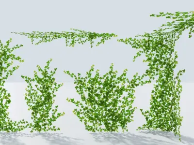 LowPoly Ivy wall Low-poly 3D model