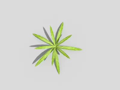 Low poly Plant Low-poly 3D model