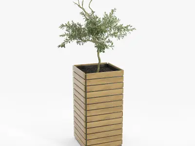 jasper rectangle planter Olea europaea 3D model