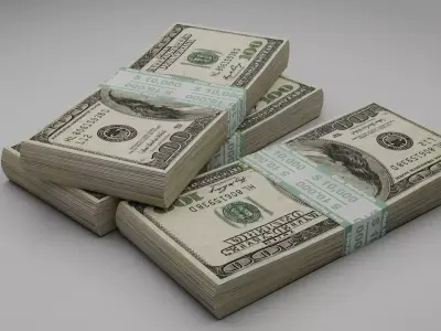 One hundred dollar package in 3D 3D model