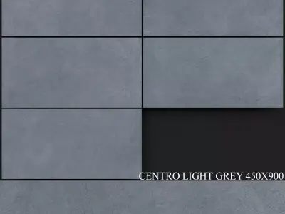 Zeus Ceramica Centro Light Grey 450x900 3D model