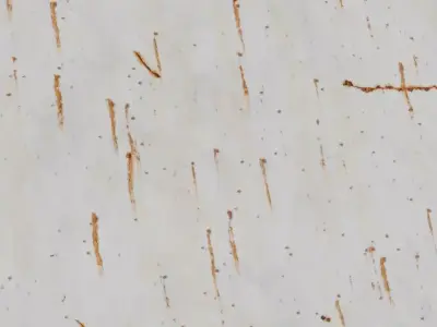 Pits Iron Sheet PBR Seamless Texture