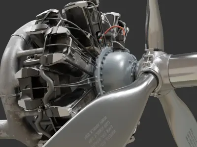  Preserved and Worn Vintage Radial Engines 