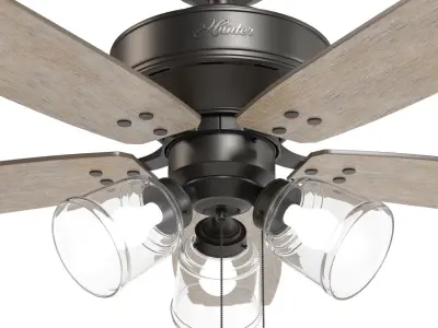 Hunter Hildebrand 52 Inch Noble Ceiling Fan With Light PBR 3D model