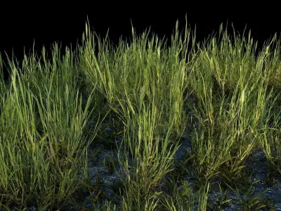 Exterior 001 Plant Low-poly 3D model