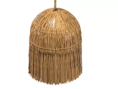 Lamp Long fringes 3D model