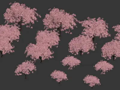  Sakura Low Poly Set 