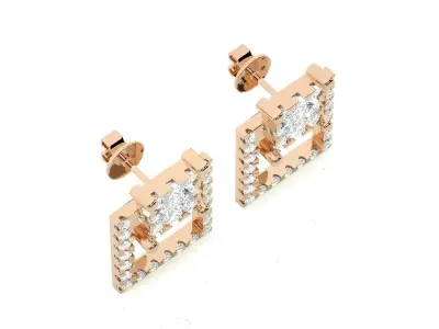 Light wt Women Diamond Earrings  3D print model
