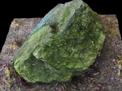 Reslistic 3d Scanned Mossy Rock Model 3D model
