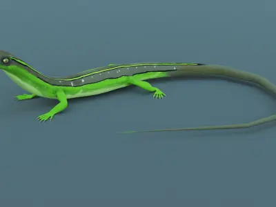 Lizard - Low Poly - Game Ready - PBR - Rigged - PBR