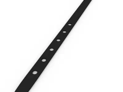 Belts 3D model