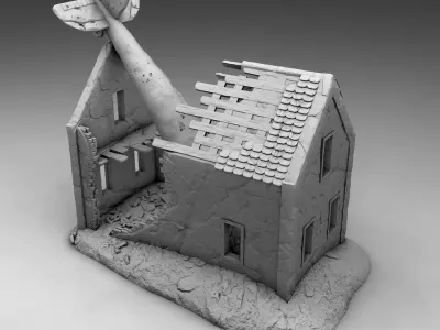 Plane crashed on house 3D print model