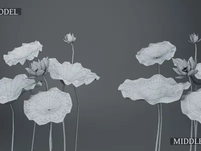  Lotus Collection vol07 