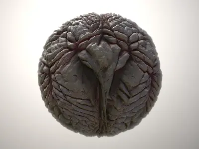 Material Skin Monster 19 Seamless PBR Texture Texture