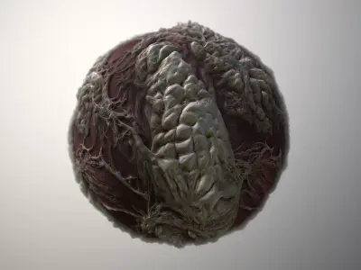 Material Skin Monster 21 Seamless PBR Texture Texture