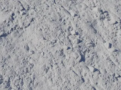 Mossy Rocky Ground Texture Texture