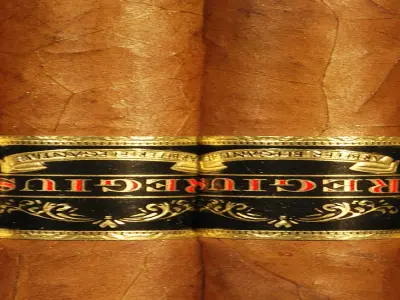 Cigar floor of cave Free 3D print model