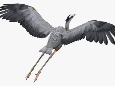  Flying Heron 
