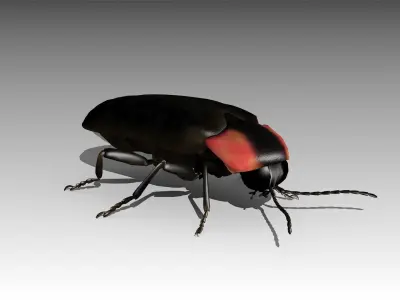 Firefly beetle flying Low-poly 3D model