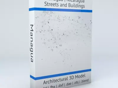 Managua Streets and Buildings 3D model