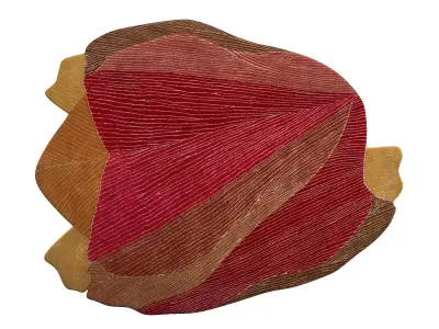 Aki Rug 3D model