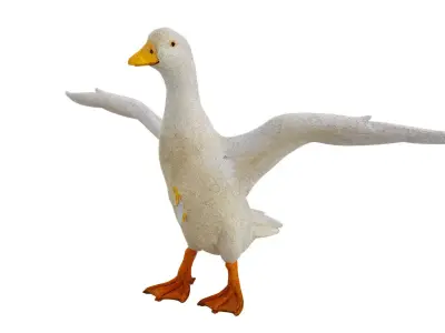 White Duck Low-poly 3D model