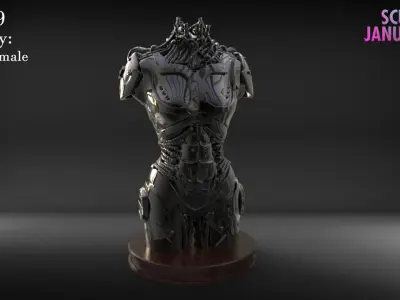 Female Robot Torso Timelapse and Model 3D print model