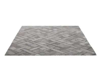 TIKA COWHIDE RUG gray 3D model