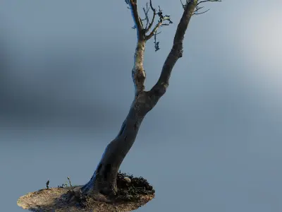 scantree01 dead tree 3D model